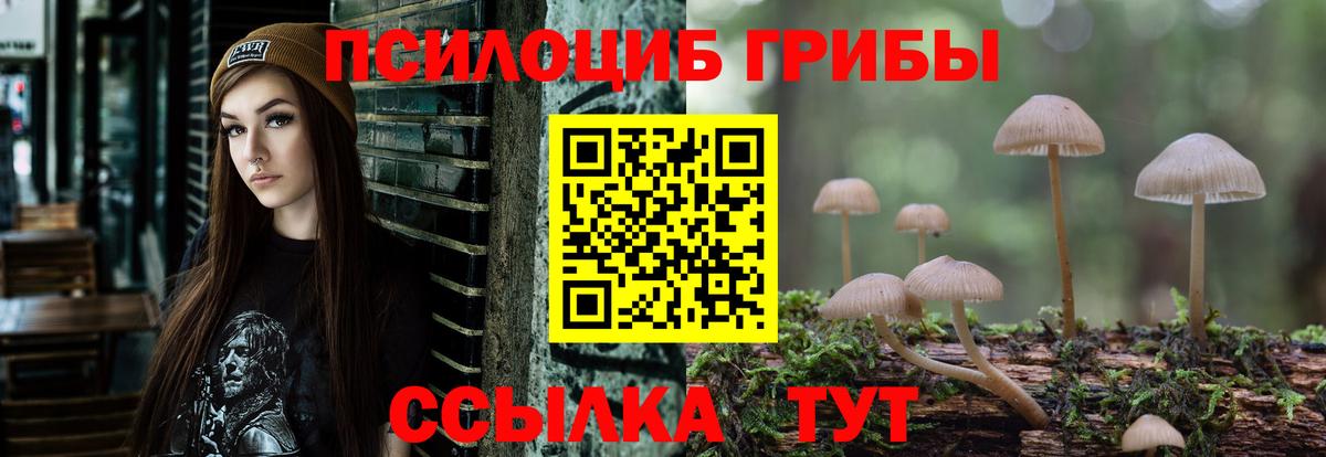 Псилоцибиновые грибы Cubensis  Псилоцибиновые грибы GOLDEN TEACHER  Вход с VPN  Среднеуральск 