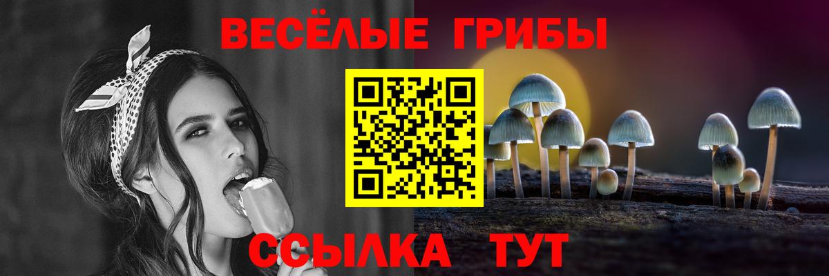 Галлюциногенные грибы Cubensis Среднеуральск